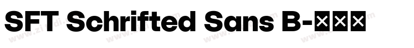 SFT Schrifted Sans B字体转换